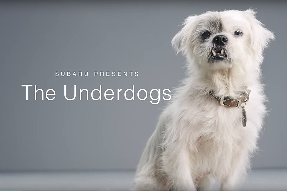 Subaru Presents The Underdogs